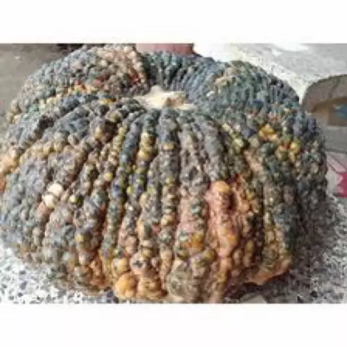 75662