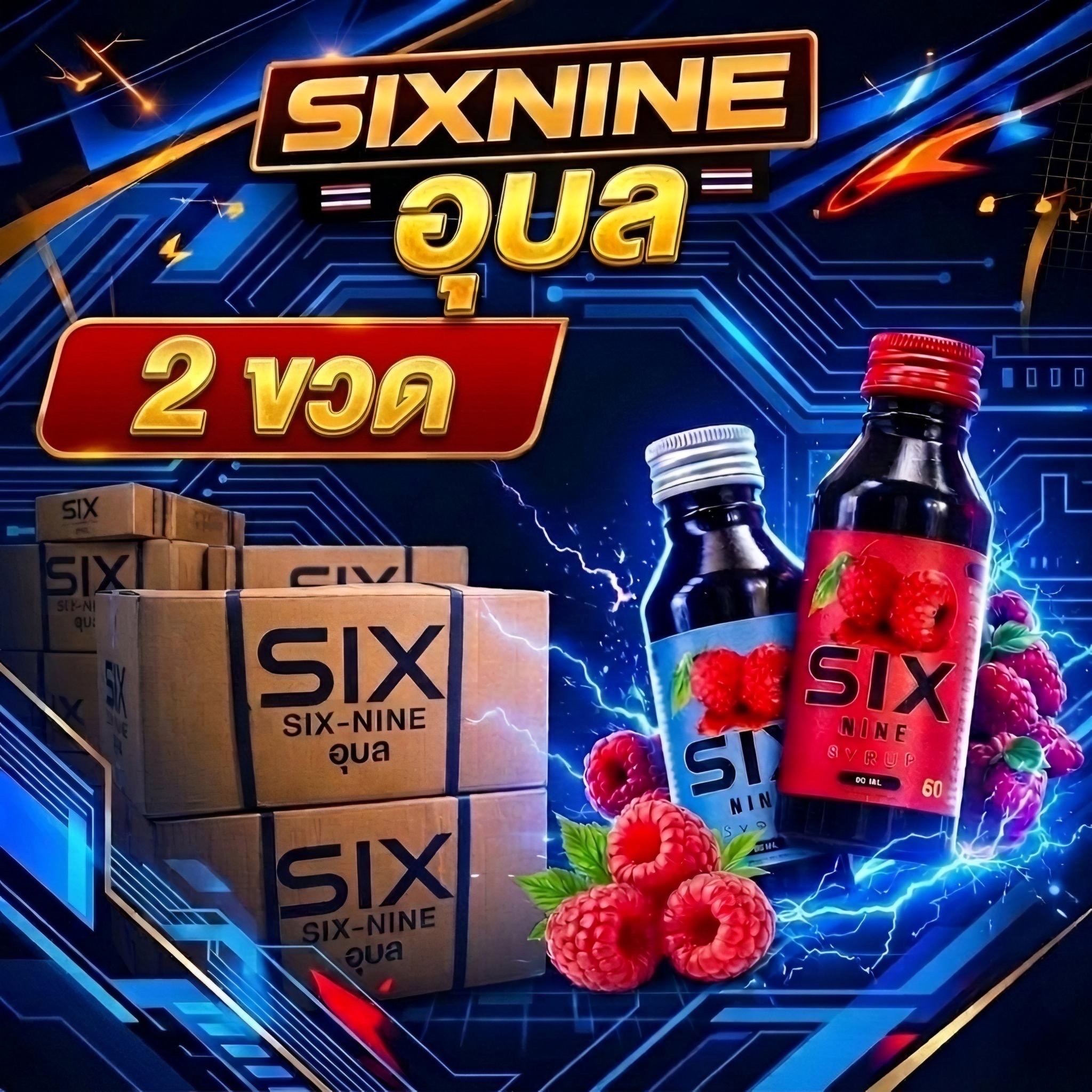 [Set 2ขวด] Sixnine69 ไซรัปพรีเมี่ยม หวาน หอม กลิ่นราสเบอร์รี่ ขนาด60ML