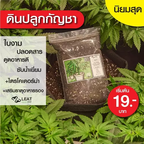 ดินปลูกสูตรทำใบ&ช่อดอก กัญชา 420 planting soil ออแกนิค มีใบรับรองตรวจสารปนเปื้อน แนะนำฟรี