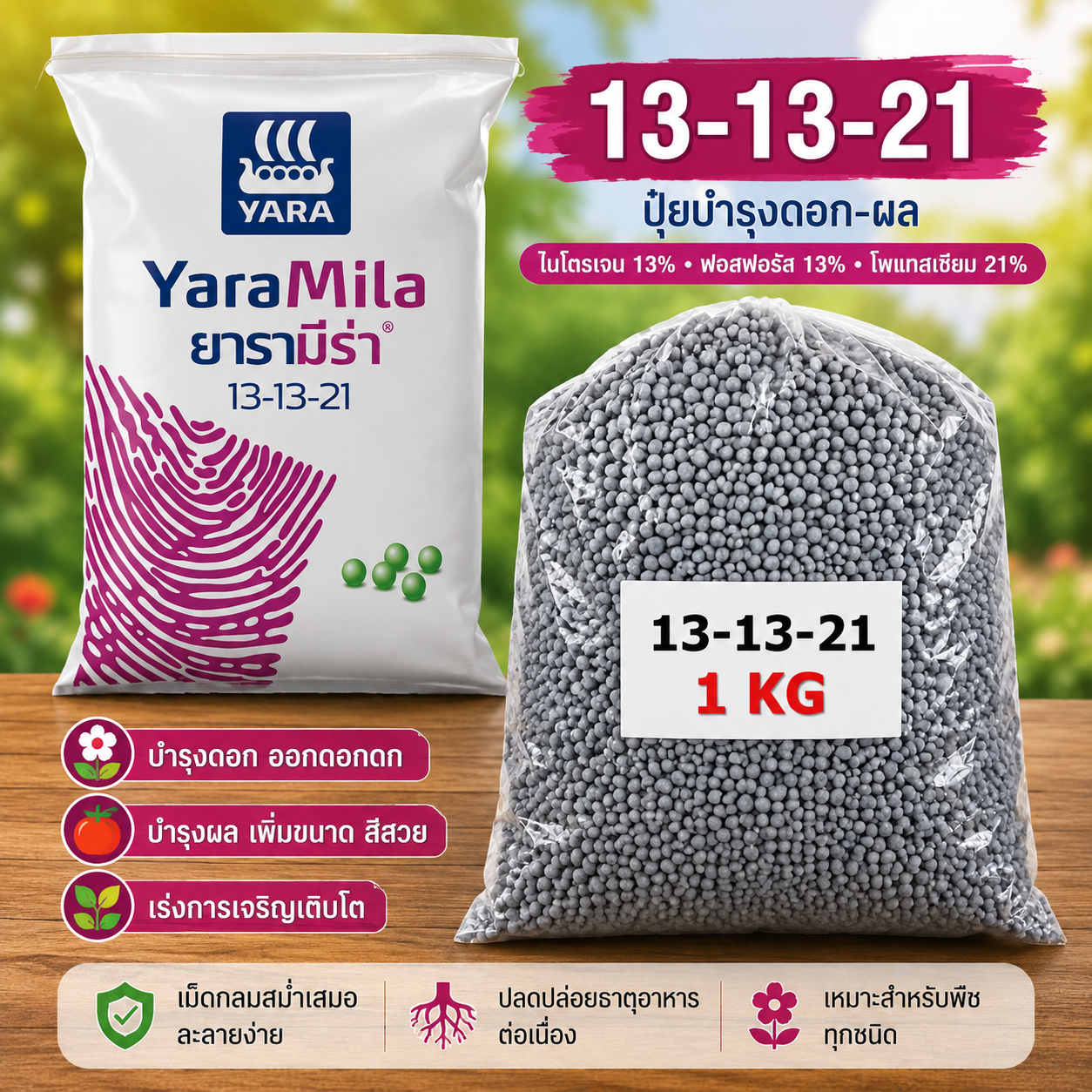 40547