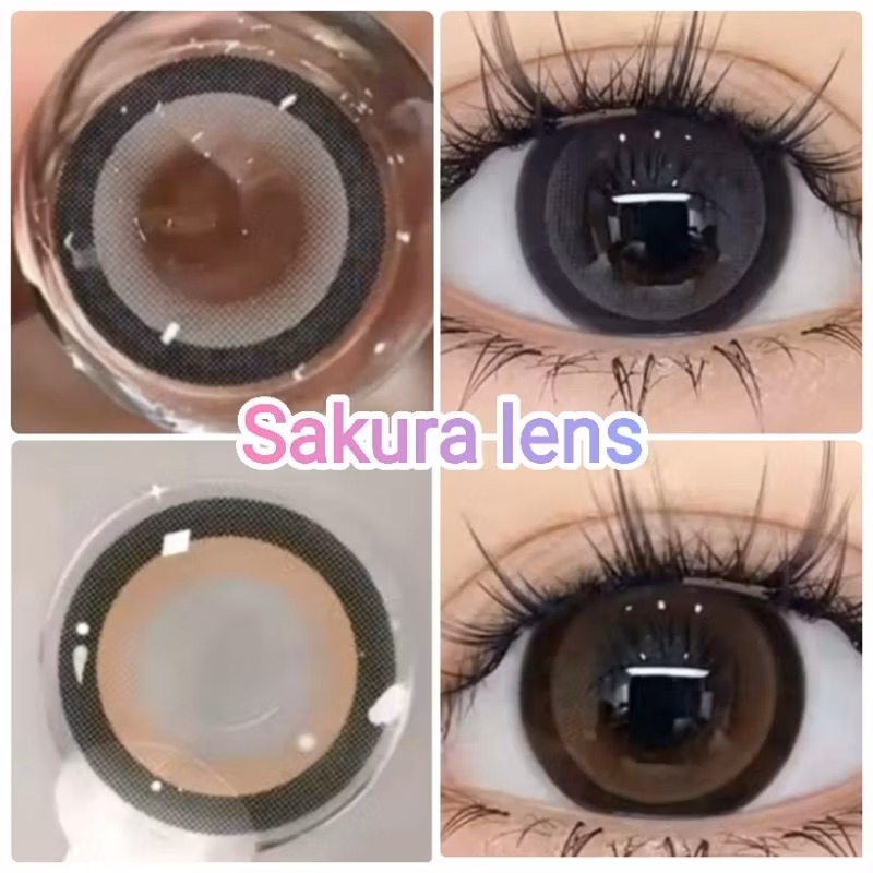 คอนแทคเลนส์ มี อย.ไทย รุ่น Sakura สีเทา/ตาล Gray/Brown มีค่าสายตา (0.00)-(-10.00)