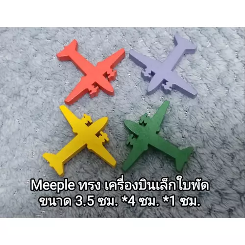 24529