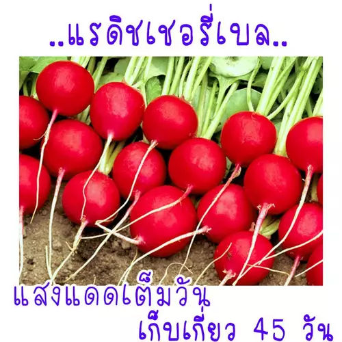 357918270