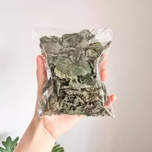 ใบเลมอนบาล์มแห้ง 5g เกรดคัดเฉพาะใบและยอดล้วน Dried Lemon balm