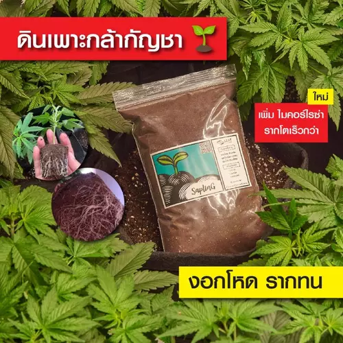 ดินปลูกสูตรต้นอ่อน เพาะกล้า ชำกิ่ง กัญชา 420 plant seedings soil ออแกนิค แนะนำฟรี