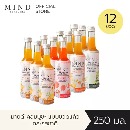 มายด์ คอมบูชะ ขวดแก้วพร้อมดื่ม คละรสชาติ [12 ขวด] ขนาด 250 มล.