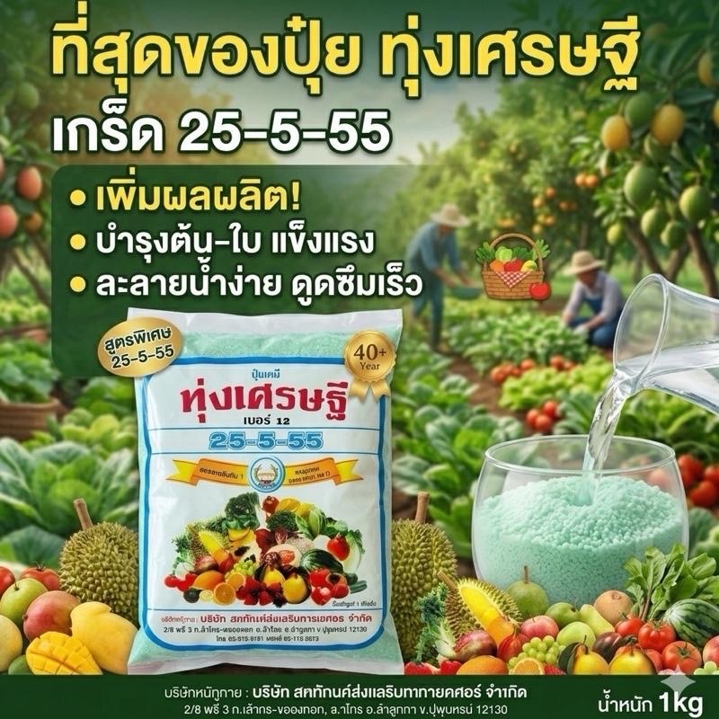 ปุ๋ยเกร็ด ปุ๋ยเร่งโต ใบเขียวสด พืชแข็งแรง ละลายน้ำง่าย ดูดซึมดี ผลผลิตสูง ใช้ได้กับพืชทุกชนิด ทั้งเศรษฐี สูตร25-5-5 ยอดนิยมอันดับ1