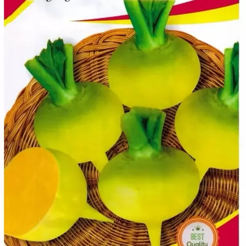 76054