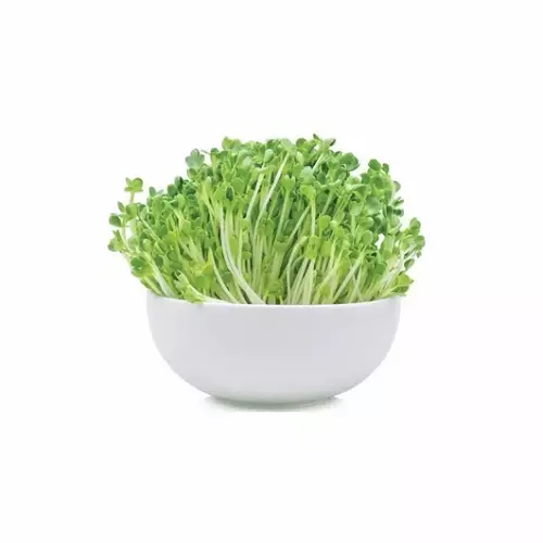 84733