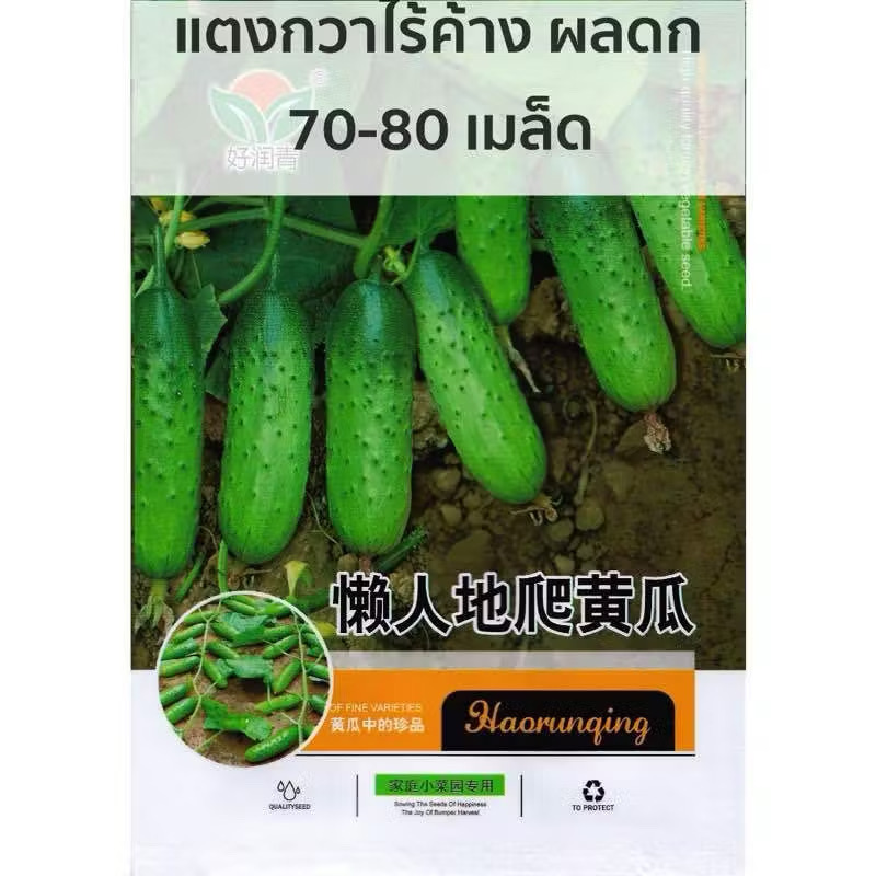 67213