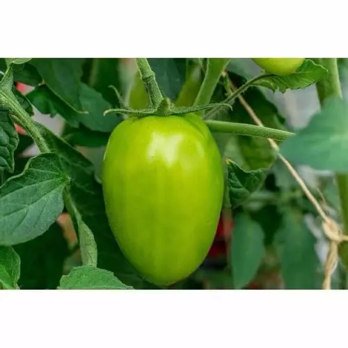 77277