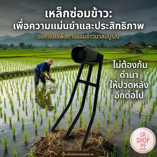 เหล็กซ่อมข้าวสีดำมีคาด