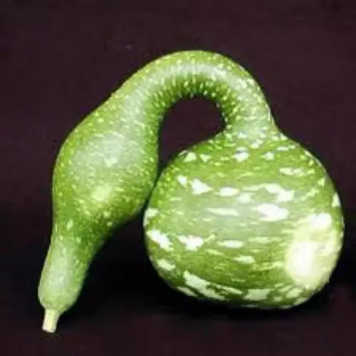 17949057
