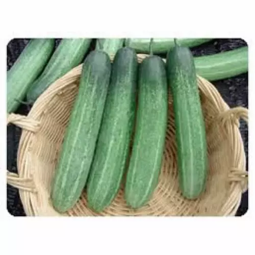 75670