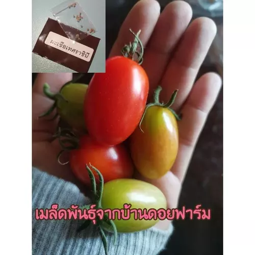 357857727