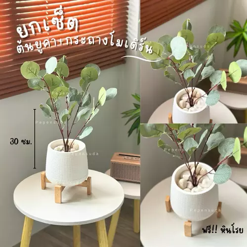 ต้นยูคาลิปตัส🍃((EUCALYPTUS TREE)) สูง 45 ซม.พร้อมกระถางมินิมอล+หินตกแต่ง ต้นไม้ปลอม ต้นไม้ตกแต่งบ้าน