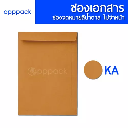 204809