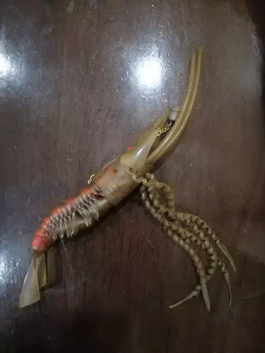 25362