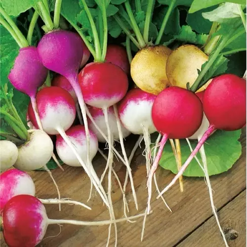 53264839