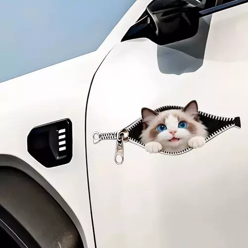 33877