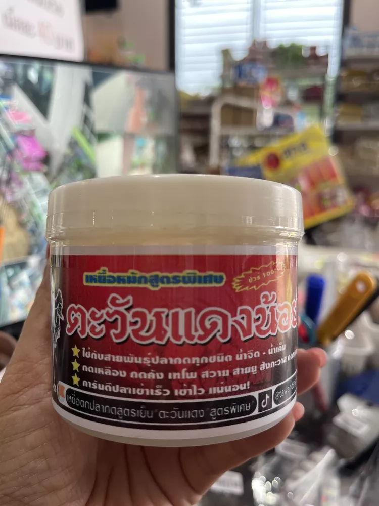 เหยื่อหมัก ตะวันแดงน้อย