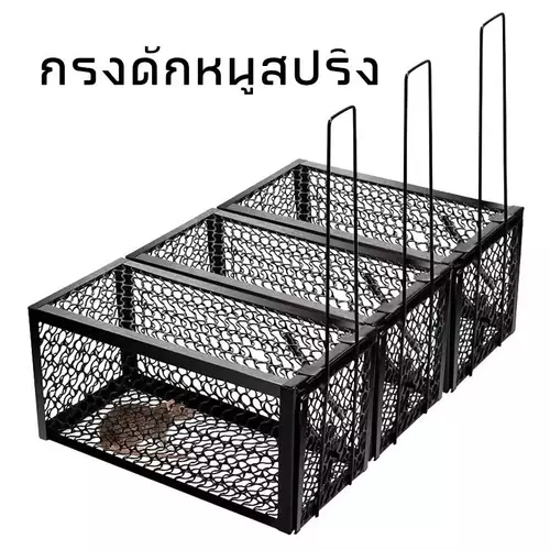 412004840