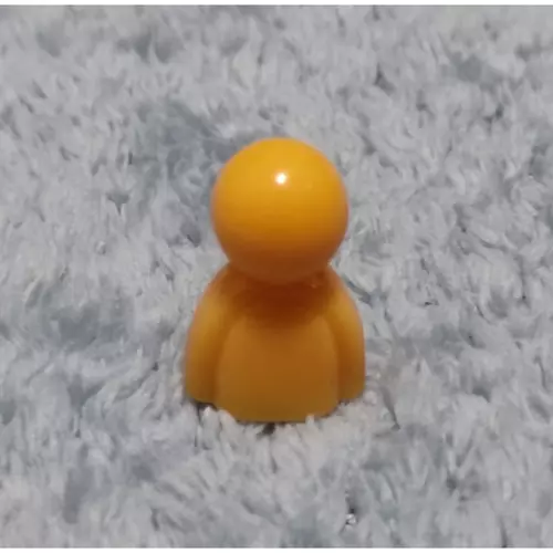 24667