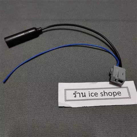 54535579