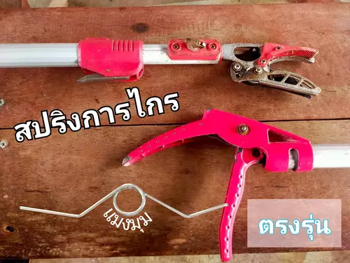 อะไหล่สปริงสำหรับใส่กับกรรไกรยาวตัดผลไม้ ยืดปรับความยาวได้