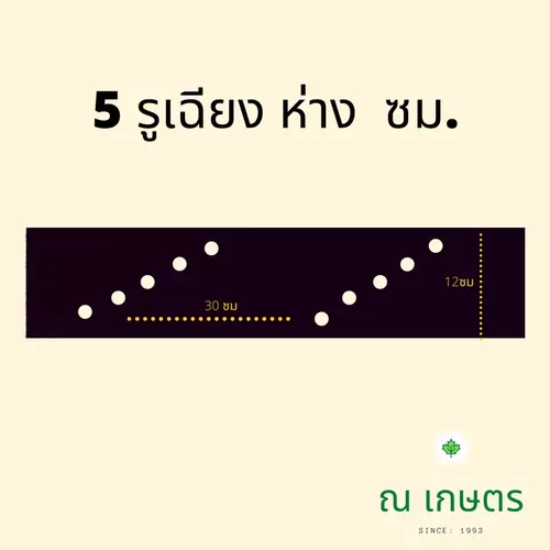360343181