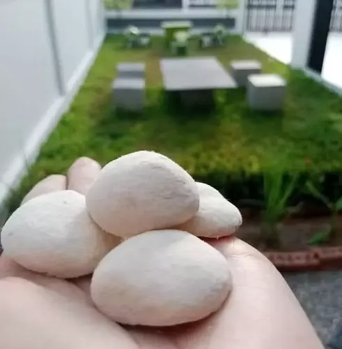 แป้งข้าวหมากหวาน ชุด 40 ลูก( ลูกตำหนิ )