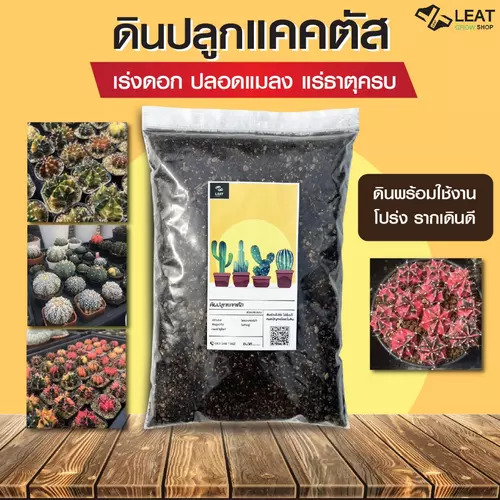 ดินปลูกแคคตัส กระบองเพชร 🌵 ไม้อวบน้ำ ใช้ง่าย หมดปัญหาเชื้อรา Leat grow