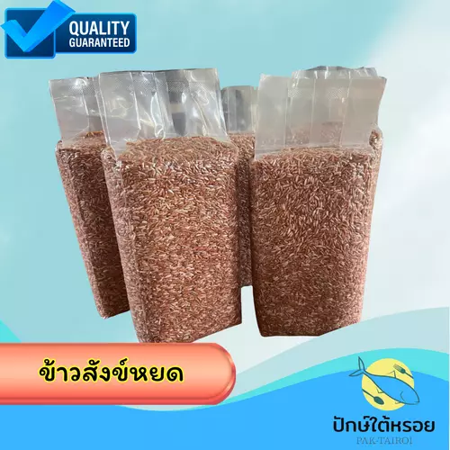 ข้าวสังข์หยดพัทลุง ข้าวกล้อง 1kg | ข้าวปีนี้ ซีลสุญญากาศ