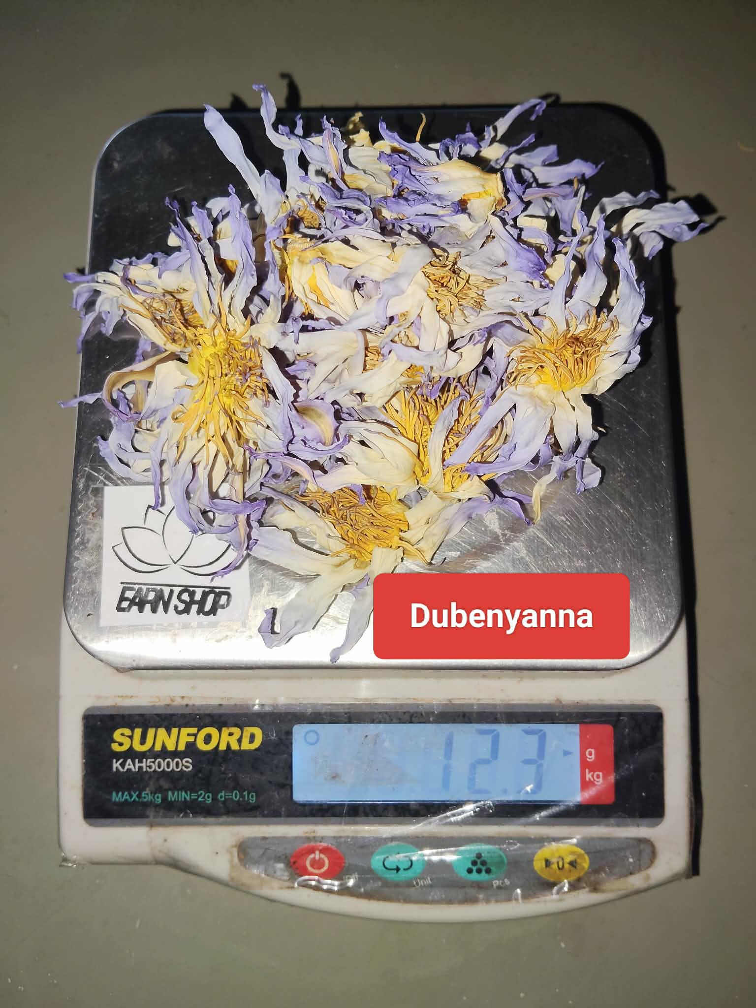 44691