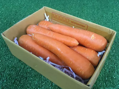 แครอทออสเตรเลีย [Organic👍]  - มีใบรับรองปลอดสาร คั้นน้ำอร่อย แครอทนำเข้า แครอทหวาน Carrot