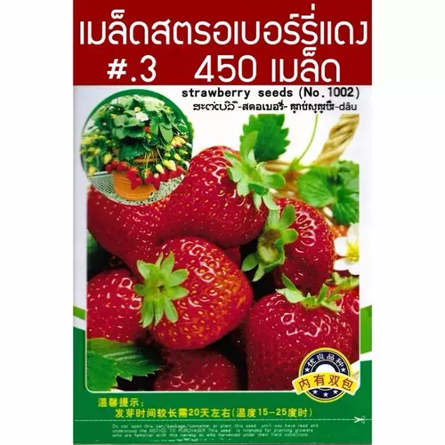 เมล็ด สตรอเบอร์รี่ แดง Strawberry Original  จำนวน 450 เมล็ด