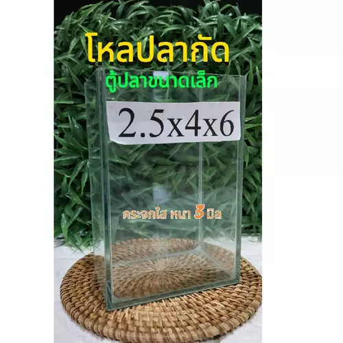 โหลปลากัดขนาด 2.5x4x6 นิ้ว กระจกหนา 3 มิล️* มีทั้งกาวใส-กาวดำ