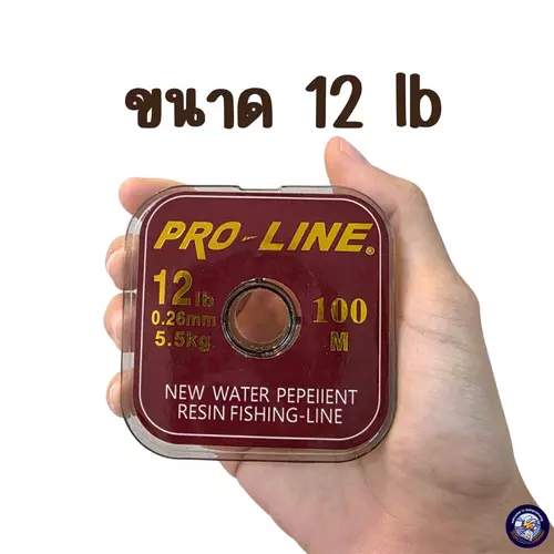 54619