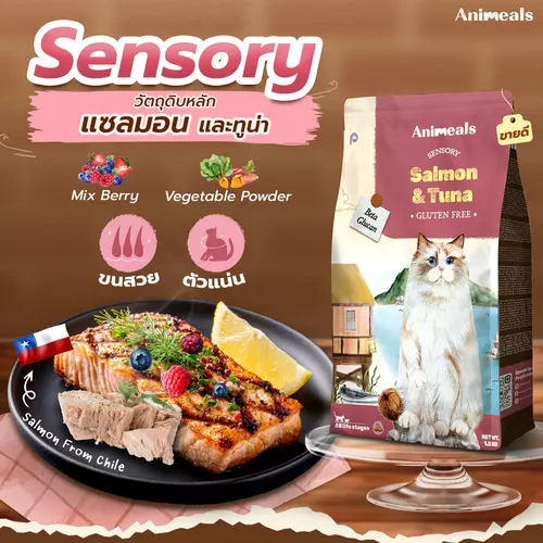 106519