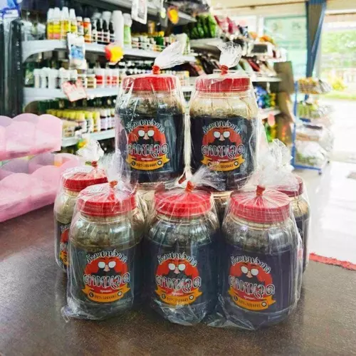 ม้ามหมักตาหนวด สำหรับตกปลากด ม้าม ม้ามหมัก