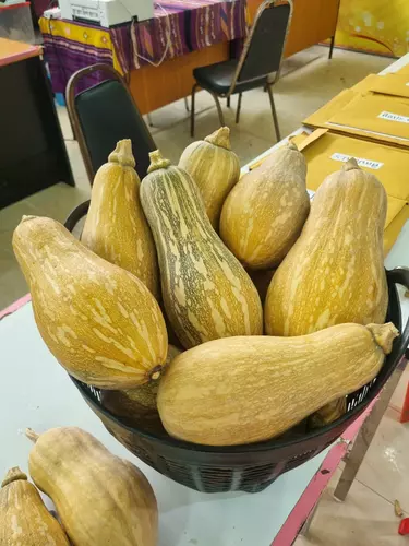 109398