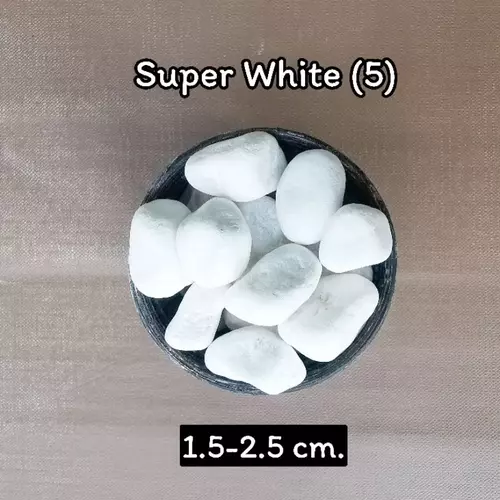 45304