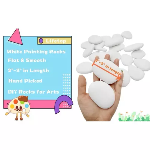 53695217