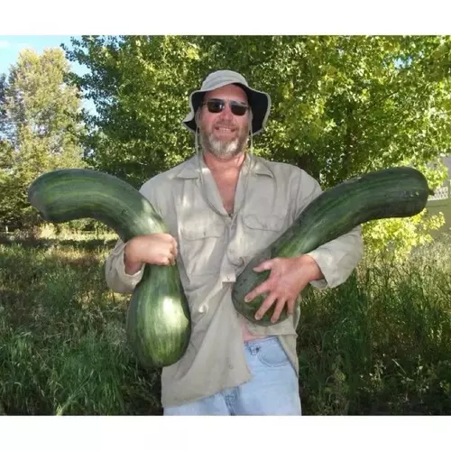 66836