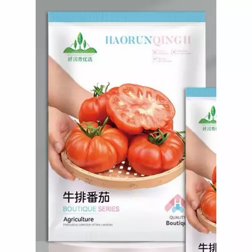 75551