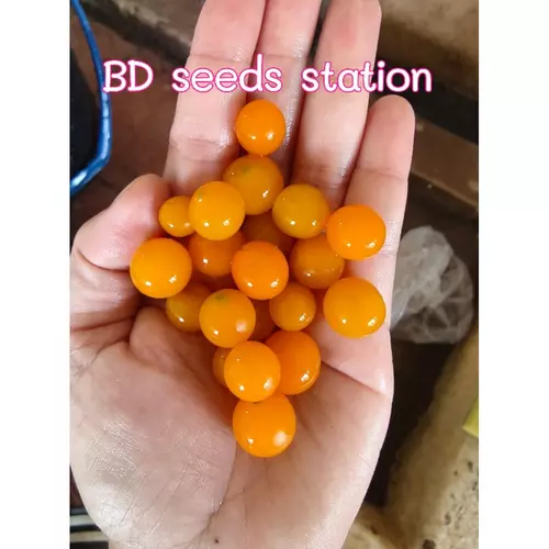 357922870