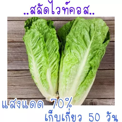 357920572