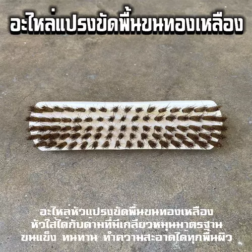 272444