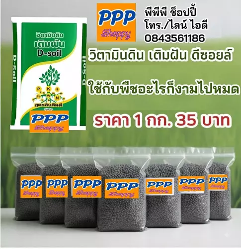 ปุ๋ยอินทรีย์ชนิดเม็ด วิตามินดิน เติมฝัน ดีซอยล์