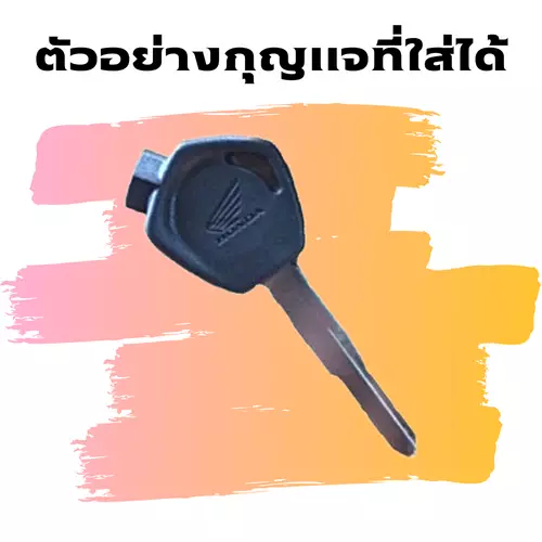 66351101